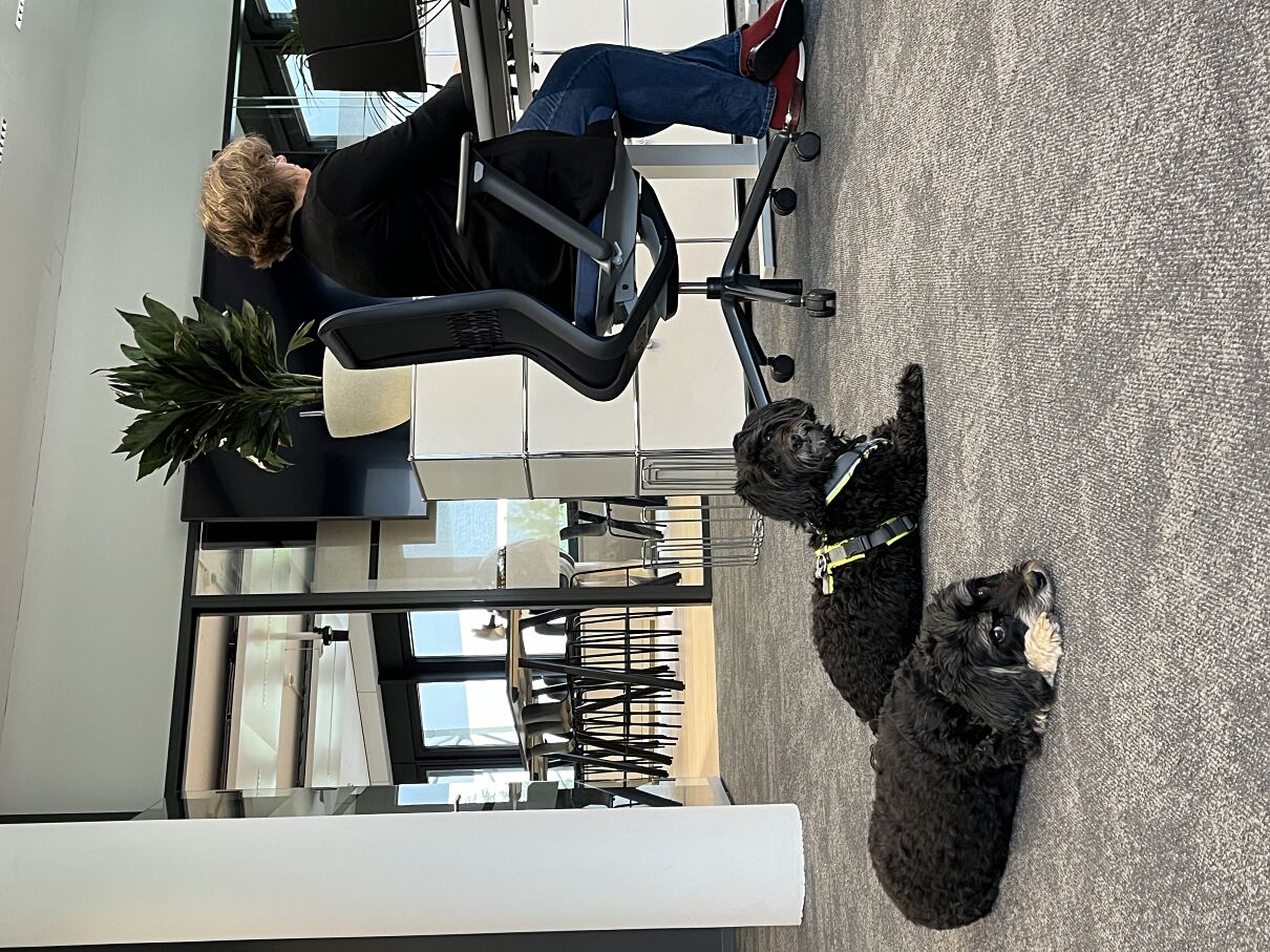 Mars Switzerland_Dogs in the office_4